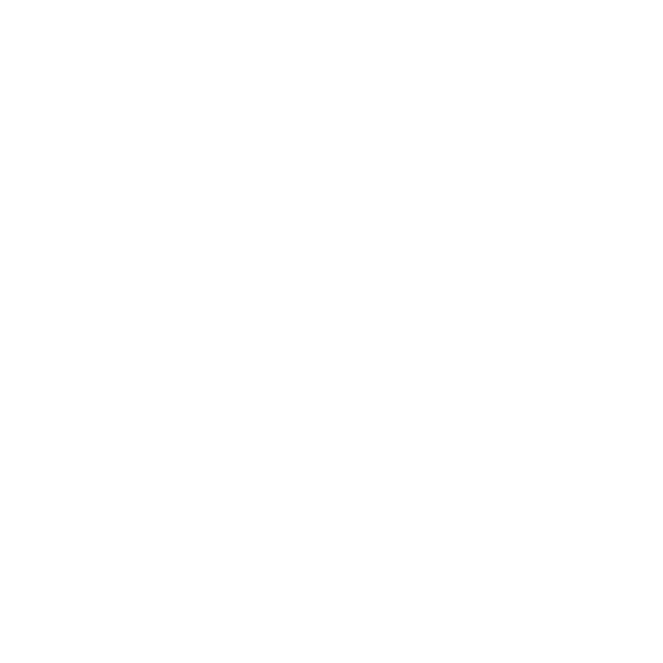 World's Okayest Brother